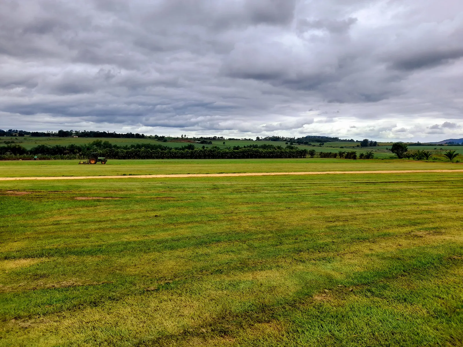 Established turf field used for instant lawn supply