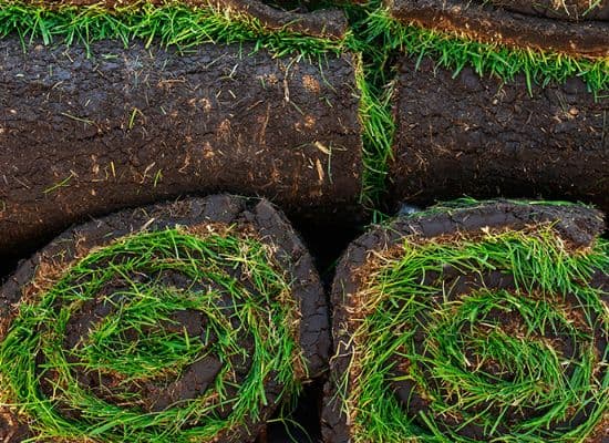 Fresh instant lawn rolls at SwaziGreen